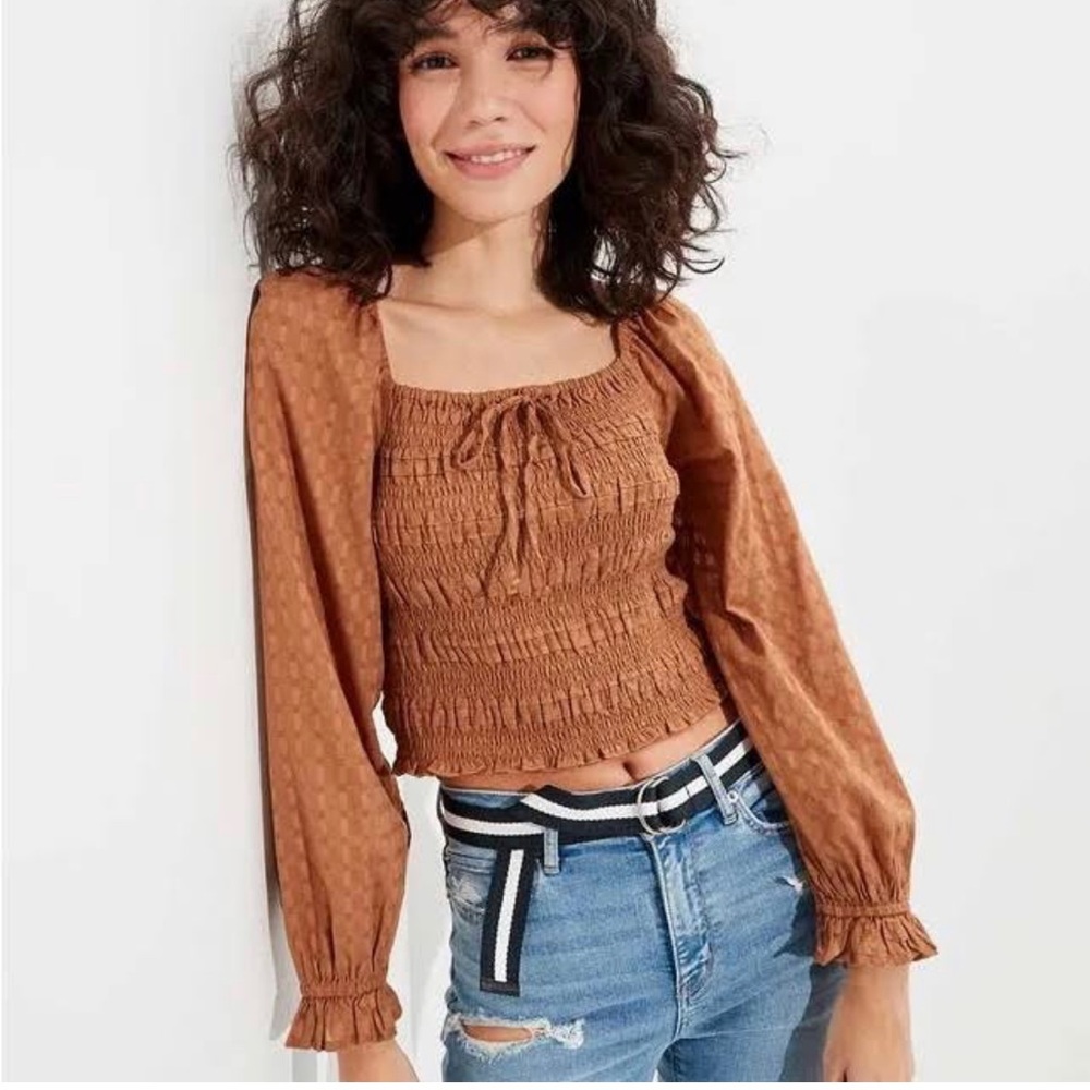 American Eagle Long sleeve Brown Puff Crop-top